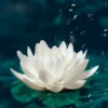 Ceramic-Flower-Lamp