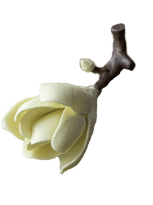 Ceramic-Incense-Holder