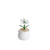 Flower-Pot-Planting