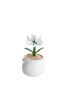 Flower-Pot-Planting