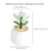 Flower-Pot-Planting
