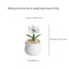 Flower-Pot-Planting