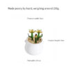 Flower-Pot-Planting