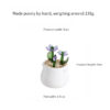 Flower-Pot-Planting