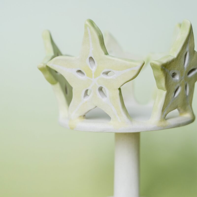 DSCF2016 carambola-candlestick