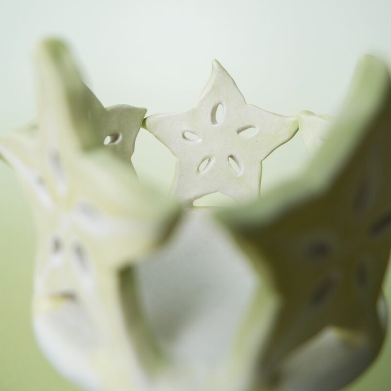 DSCF2018 carambola-candlestick